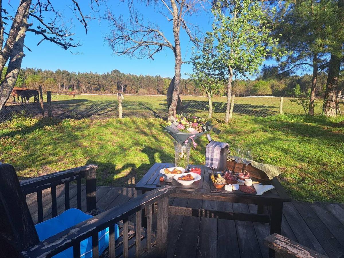 Domaine L'Oree Du Marais Le Barp Exteriör bild